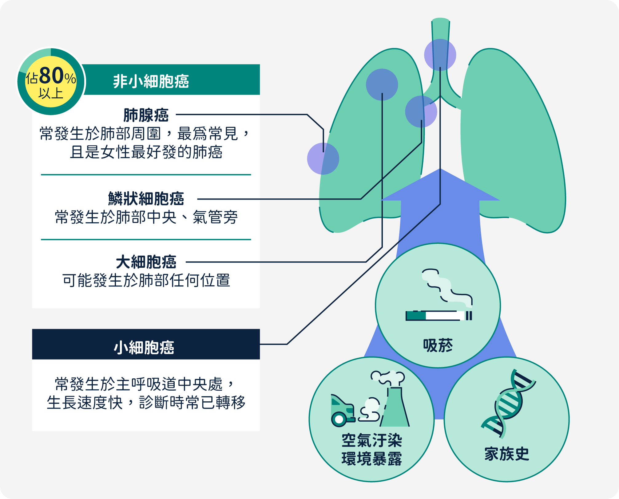 肺癌組織型態分類以及危險因子