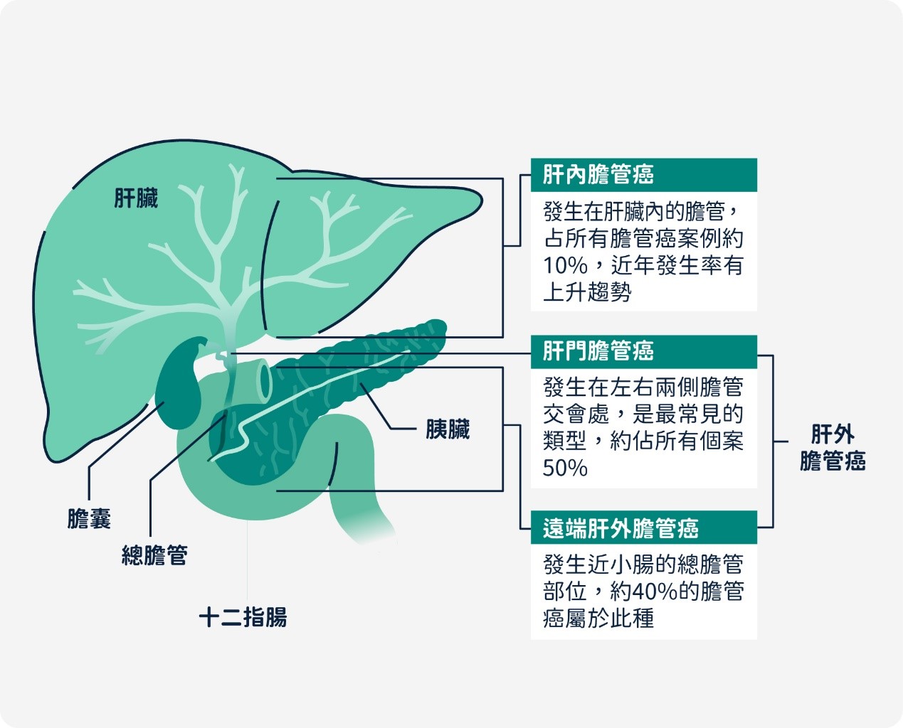 膽管癌組織型態分類