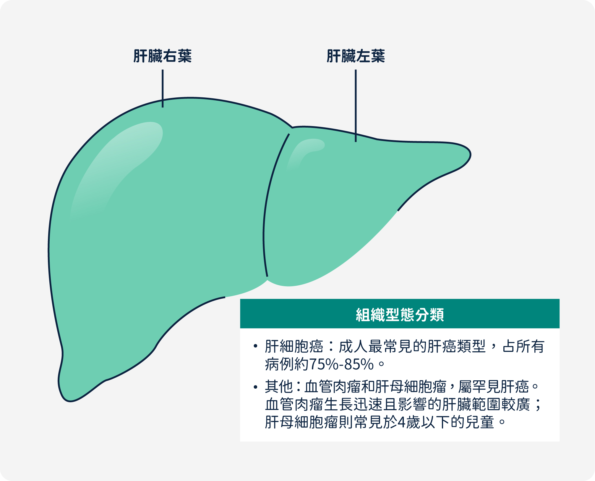 肝癌組織型態分類