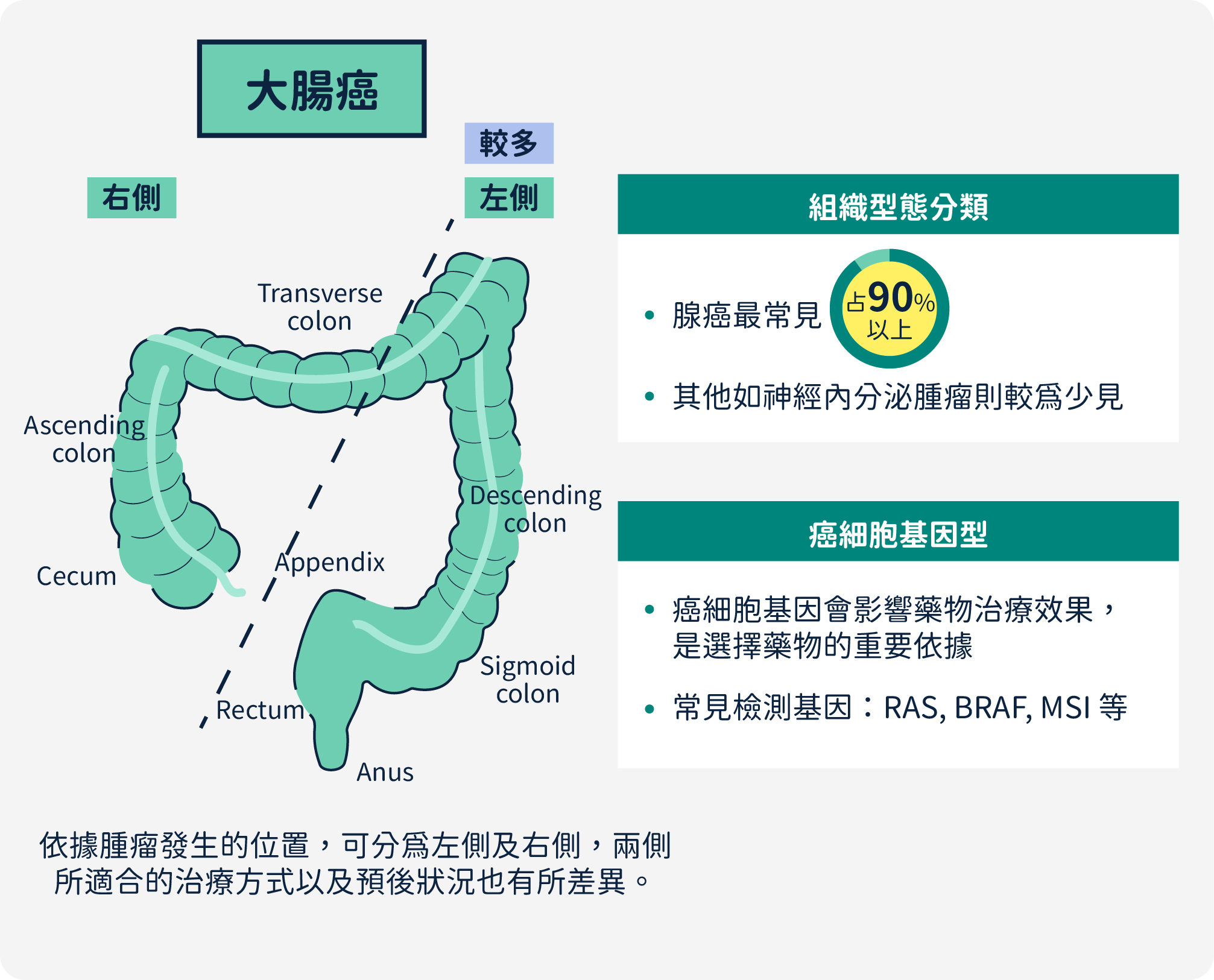 大腸直腸癌組織型態分類以及癌細胞基因型