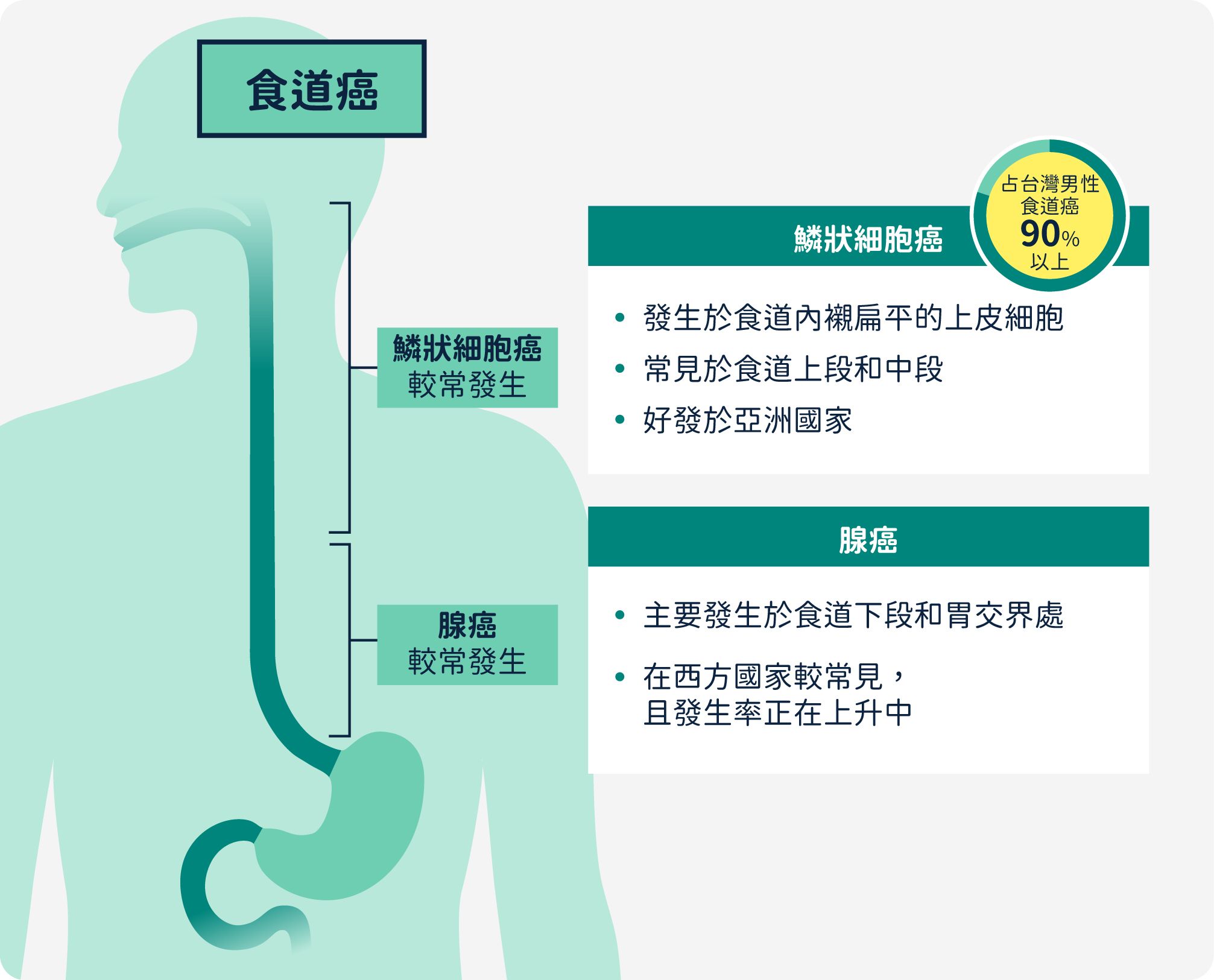 食道癌組織型態分類