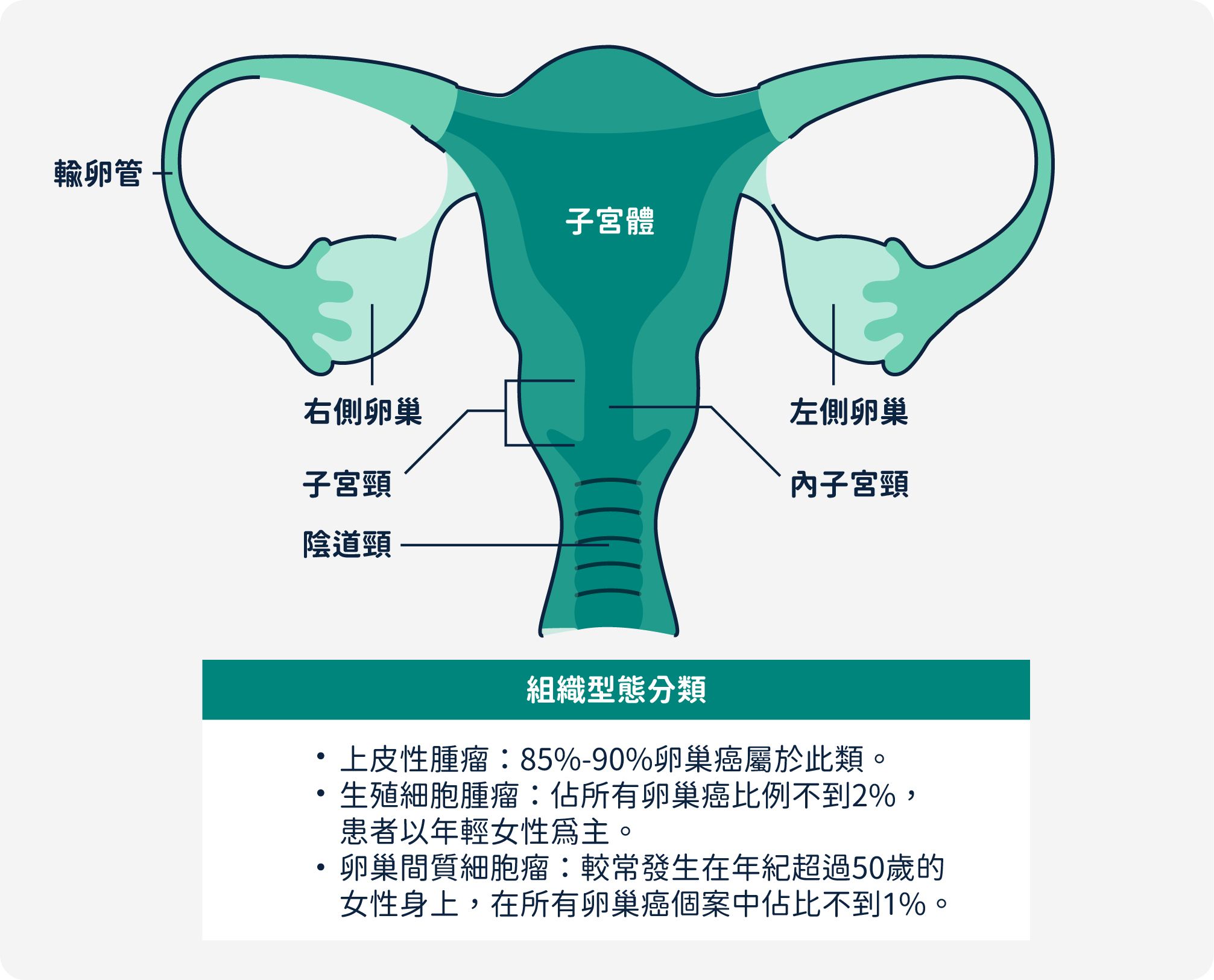 卵巢癌組織型態分類