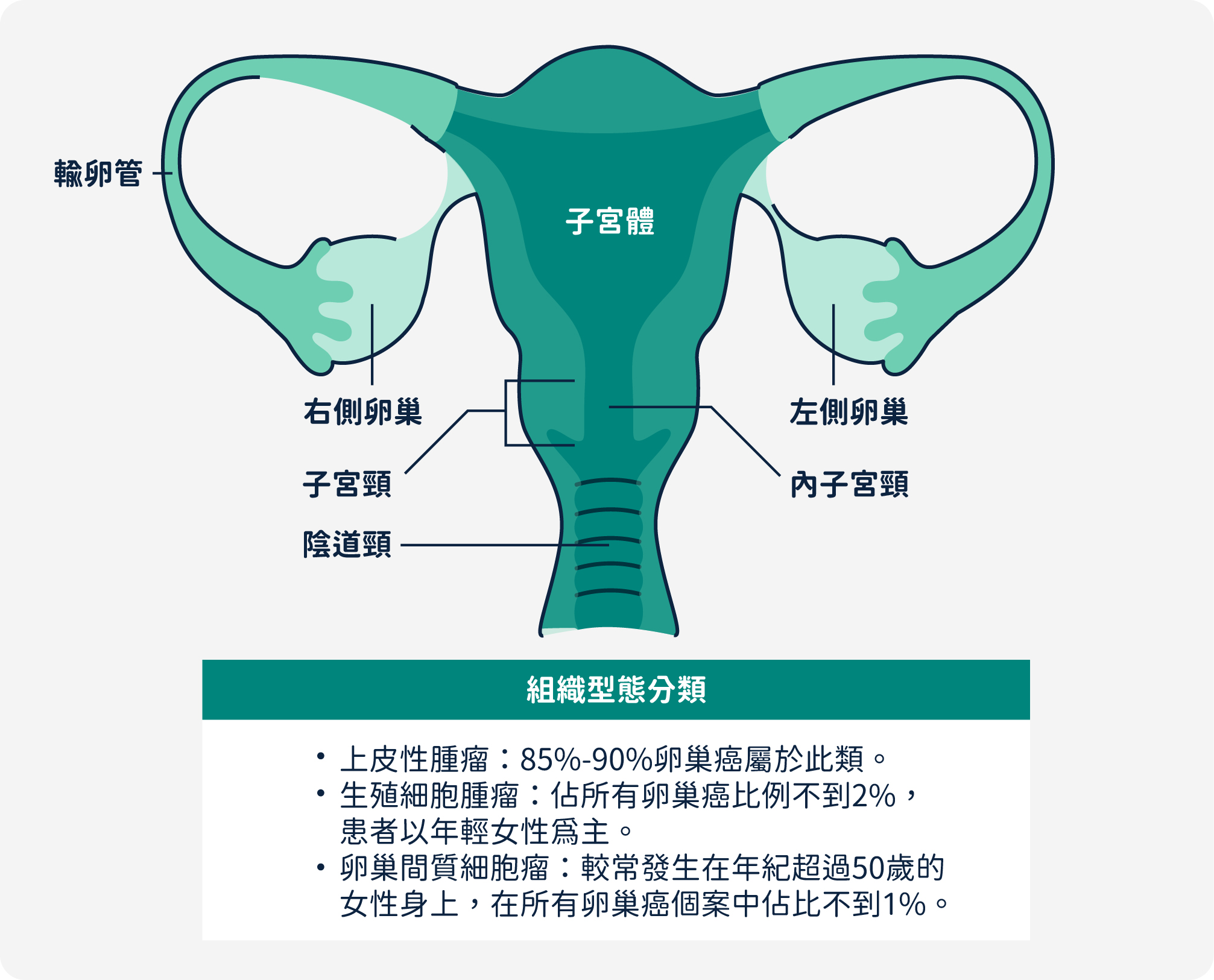 卵巢癌組織型態分類