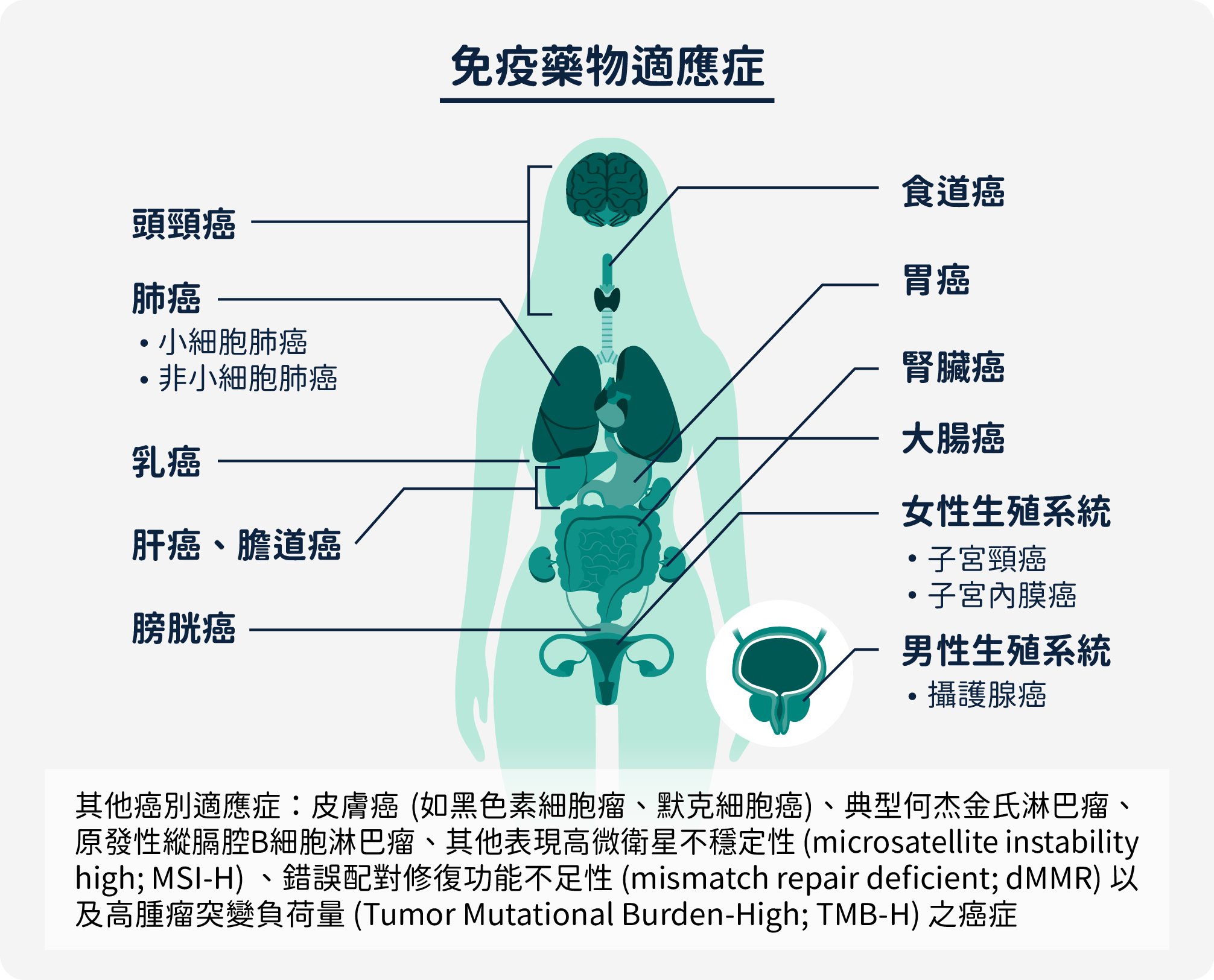 免疫檢查點抑制劑適應症